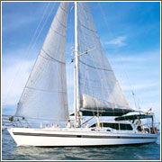 Macrista Luxury Charters - Attractions Melbourne 4