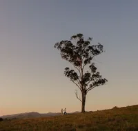 Faulls Ridge Winery - Attractions Melbourne