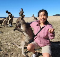 Batemans Bay Full-Day Tour from Canberra Including Indigenous Experience - Attractions Melbourne