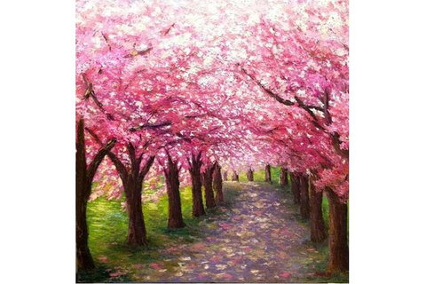 Blossom Lane - Boardwalk Bar 4.00-6.00pm - Attractions Melbourne 0