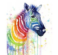 Rainbow Zebra - 65 Northbourne 7.30-9.30pm - Attractions Melbourne