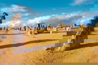 Pinnacles Desert Koalas and Sandboarding 4WD Day Tour from Perth