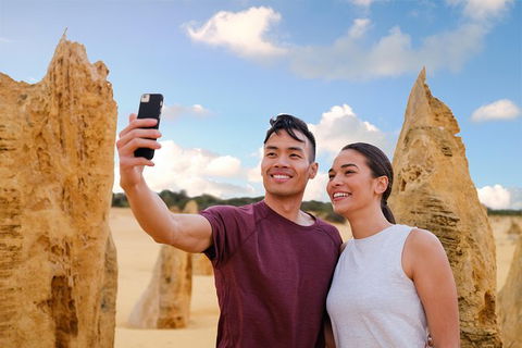 Pinnacles Desert, Koalas And Sandboarding 4WD Day Tour From Perth - Attractions Melbourne 27
