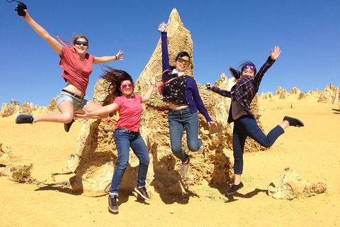 Pinnacles And Swan Valley Day Trip From Perth Including Caversham Wildlife Park, Vineyard Lunch, Pinnacles And Sandboarding - Attractions Melbourne 0