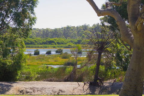 Pinnacles And Yanchep National Park Day Trip From Perth Including Lobster Shack Lunch And Sandboarding - Attractions Melbourne 10