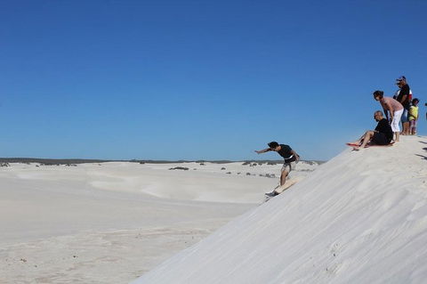 Pinnacles And Yanchep National Park Day Trip From Perth Including Lobster Shack Lunch And Sandboarding - Attractions Melbourne 4