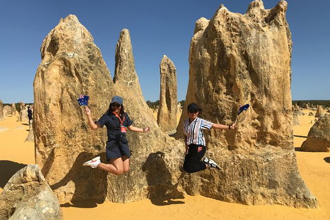 Pinnacles And Yanchep National Park Day Trip From Perth Including Lobster Shack Lunch And Sandboarding - Attractions Melbourne 2
