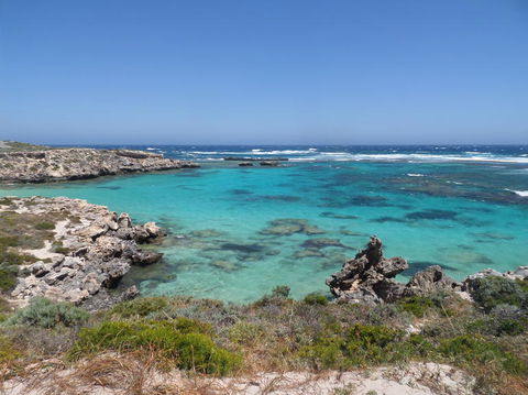 Rottnest Island Tour From Perth Or Fremantle Including Adventure Speed Boat Ride - Attractions Melbourne 3