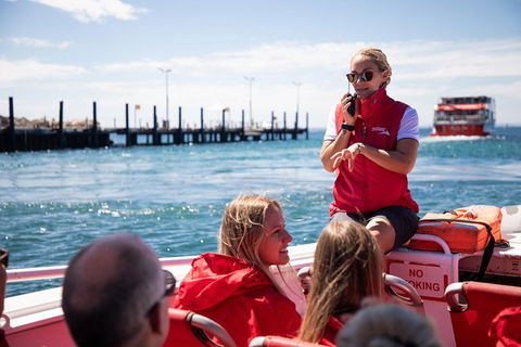 Rottnest Island Tour From Perth Or Fremantle Including Adventure Speed Boat Ride - Attractions Melbourne 0