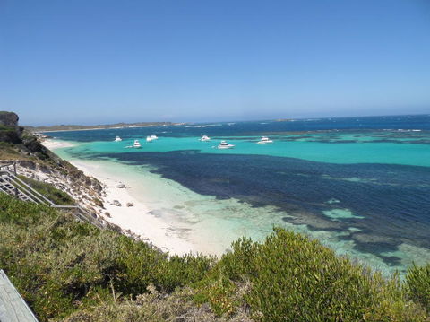 Rottnest Island Tour From Perth Or Fremantle Including Adventure Speed Boat Ride - Attractions Melbourne 2