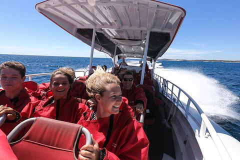 Rottnest Island Tour From Perth Or Fremantle Including Adventure Speed Boat Ride - Attractions Melbourne 8