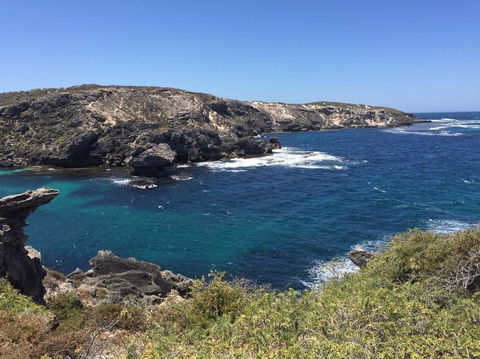 Rottnest Island Tour From Perth Or Fremantle Including Bus Tour - Attractions Melbourne 3
