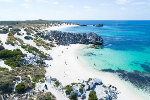 Rottnest Island Tour From Perth Or Fremantle Including Bus Tour - Attractions Melbourne 7