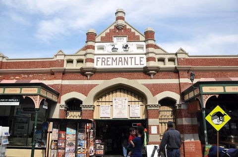 Full-Day Penguin Island & Fremantle Town - Attractions Melbourne 1