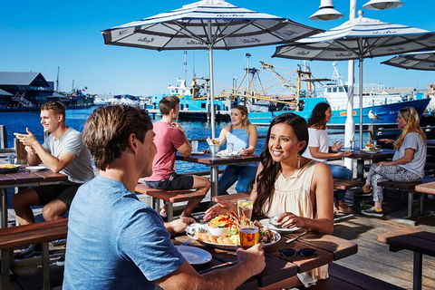 Full-Day Penguin Island & Fremantle Town - Attractions Melbourne 7