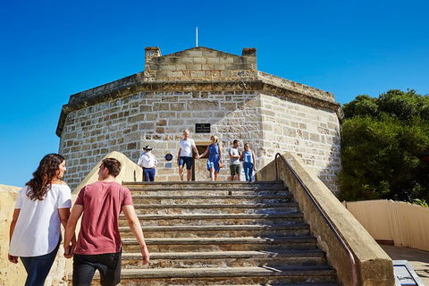 Full-Day Penguin Island & Fremantle Town - Attractions Melbourne 4