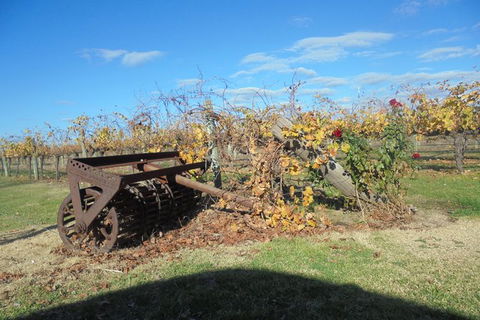 Swan Valley Tour From Perth: Wine, Beer And Chocolate Tastings - Attractions Melbourne 7
