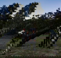 Stargazing Busselton with Mobile Observatory - Attractions Melbourne