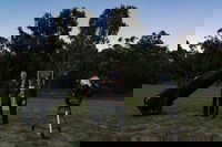 Stargazing Busselton with Mobile Observatory