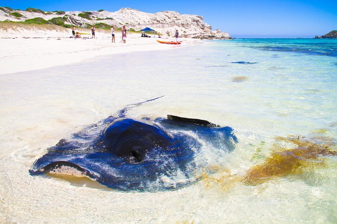 Margaret River WA Attractions Melbourne