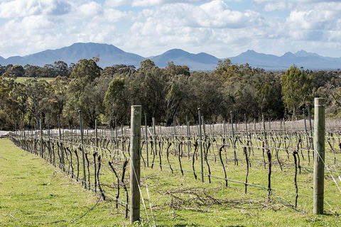 Mt Barker Grape Escape - Attractions Melbourne 1