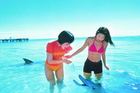 Monkey Mia Dolphins  Shark Bay Air Tour From Perth