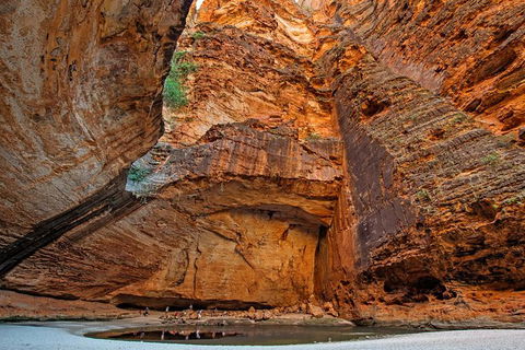 Bungle Bungle Stay Over With Scenic Flights, Guided Walk, Accommodation & Meals - Attractions Melbourne 2