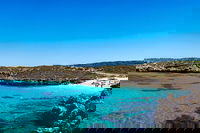 Rottnest Island Roundtrip Fast Ferry from Hillarys Boat Harbour