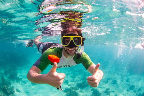 Swim With Whale Sharks- The Largest Fish In The World! - Attractions Melbourne 23
