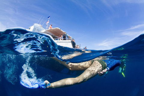 VIP Luxury Chartered Escapes, Exploring The Reef At Your Own Pace - Attractions Melbourne 40