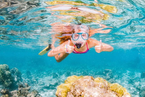 VIP Luxury Chartered Escapes, Exploring The Reef At Your Own Pace - Attractions Melbourne 48