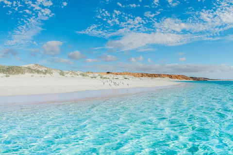 VIP Luxury Chartered Escapes, Exploring The Reef At Your Own Pace - Attractions Melbourne 36