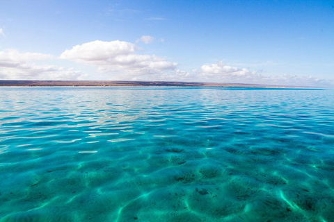 VIP Luxury Chartered Escapes, Exploring The Reef At Your Own Pace - Attractions Melbourne 32
