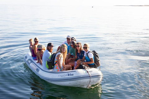VIP Luxury Chartered Escapes, Exploring The Reef At Your Own Pace - Attractions Melbourne 43