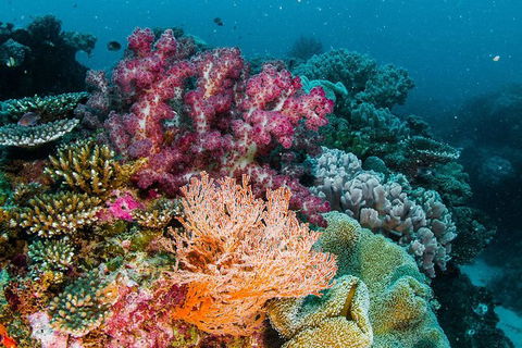 VIP Luxury Chartered Escapes, Exploring The Reef At Your Own Pace - Attractions Melbourne 33