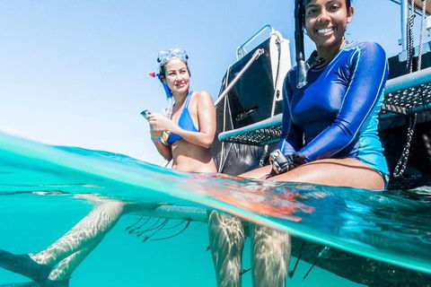 VIP Luxury Chartered Escapes, Exploring The Reef At Your Own Pace - Attractions Melbourne 24