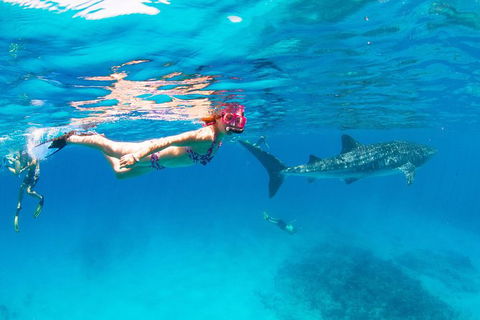 VIP Luxury Chartered Escapes, Exploring The Reef At Your Own Pace - Attractions Melbourne 35