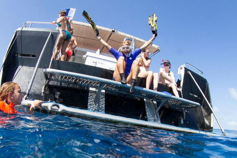 VIP Luxury Chartered Escapes, Exploring The Reef At Your Own Pace - Attractions Melbourne 25