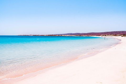 VIP Luxury Chartered Escapes, Exploring The Reef At Your Own Pace - Attractions Melbourne 45