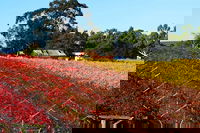 Swan Valley Wine Time Private Day Tour