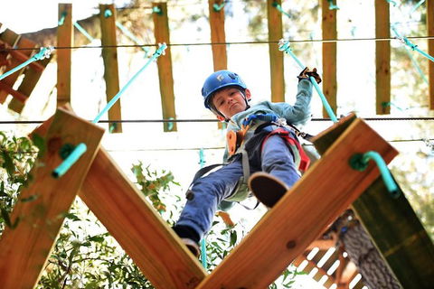 Trees Adventure Lane Poole Park - Treetop & Zipline Experience - Attractions Melbourne 1