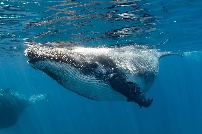 Exmouth WA Attractions Melbourne