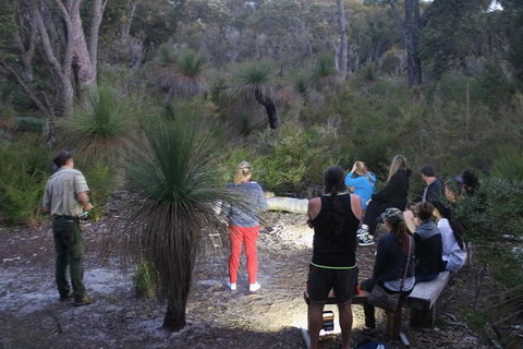 Nocturnal Wildlife Tour From Busselton Or Dunsborough - Attractions Melbourne 5