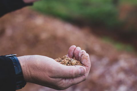 Vasse Felix Epicurean Tour And Tasting Experience With 5 Course Lunch - Attractions Melbourne 8