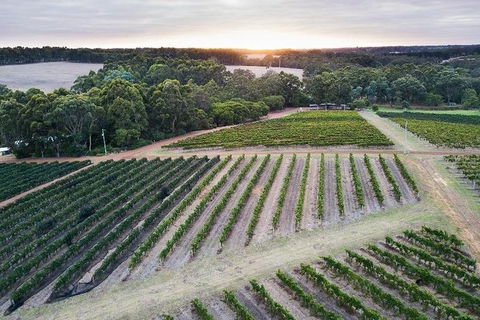 Vasse Felix Epicurean Tour And Tasting Experience With 5 Course Lunch - Attractions Melbourne 7