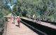 Perth Hills - Wildlife, Art & Gastronomy - thumb 1