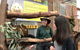 Perth Hills - Wildlife, Art & Gastronomy - thumb 4