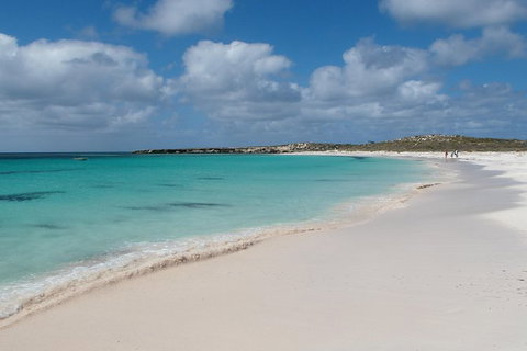 Pink Lake And Abrolhos Full Day Fly And Flipper - Attractions Melbourne 0