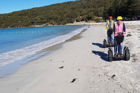 Albany Summit To Sea Adventure - Guided Segway Tour - Attractions Melbourne 3
