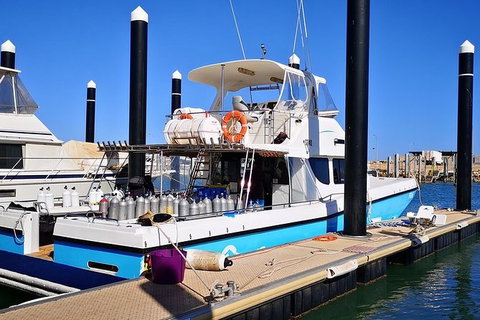 Muiron Island Dive & Snorkel Tour - Attractions Melbourne 7